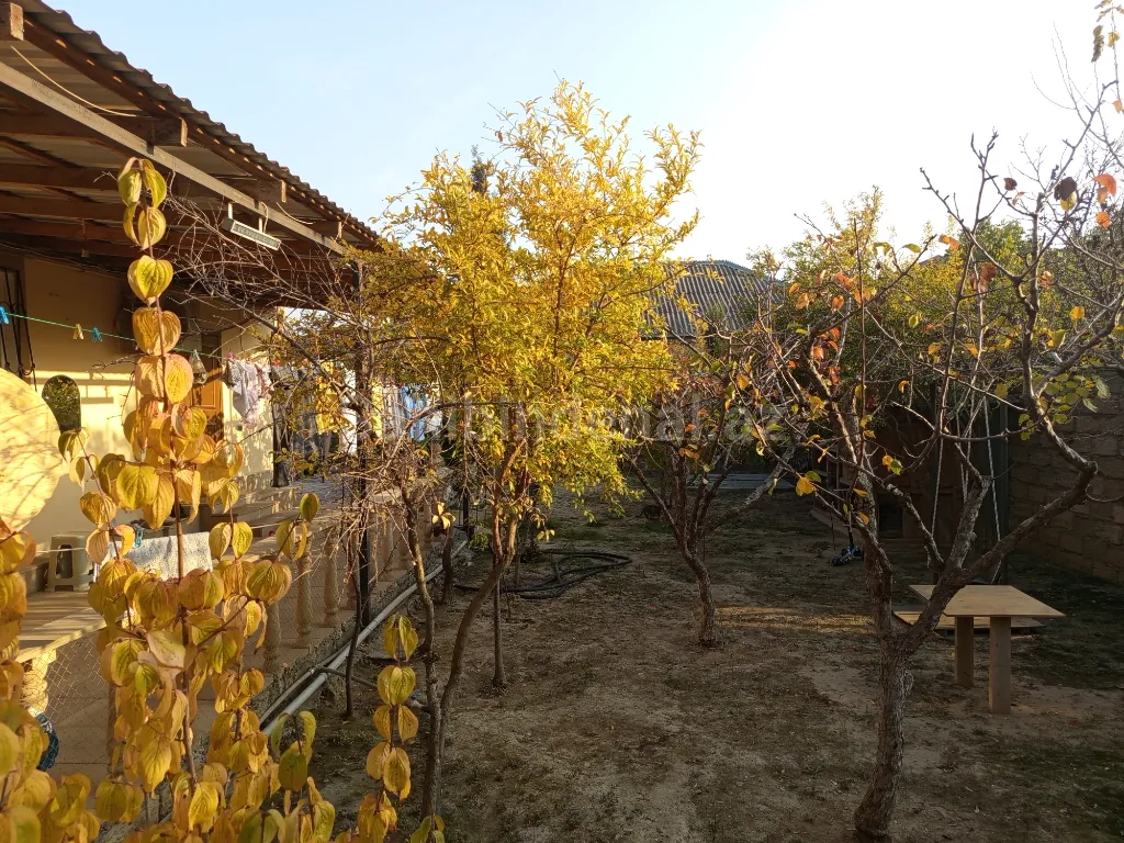 thumb 9
